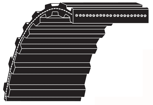 Bestorq D856-8M-36 Dual HTD Timing Belts